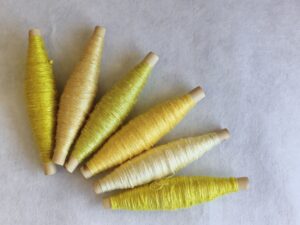 【参加受付中】草木の色のものがたり－「きいろ」のお話しと草木染めワークショップ