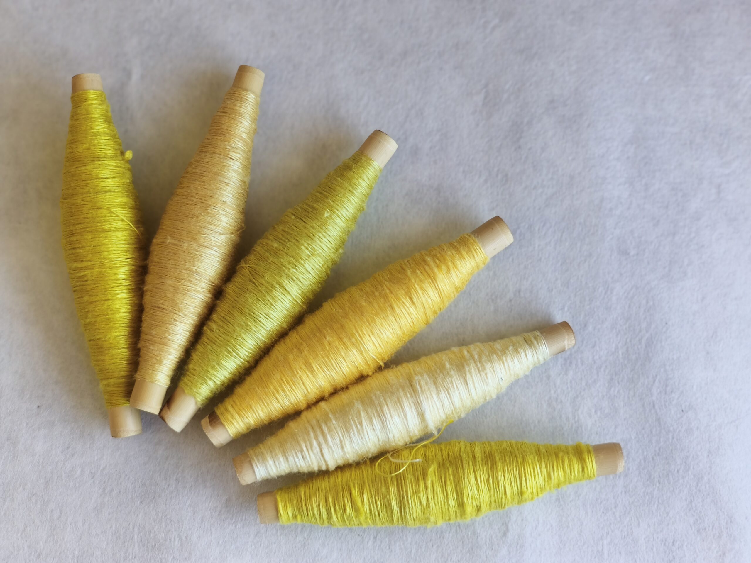 草木の色のものがたり－「きいろ」のお話しと草木染めワークショップ