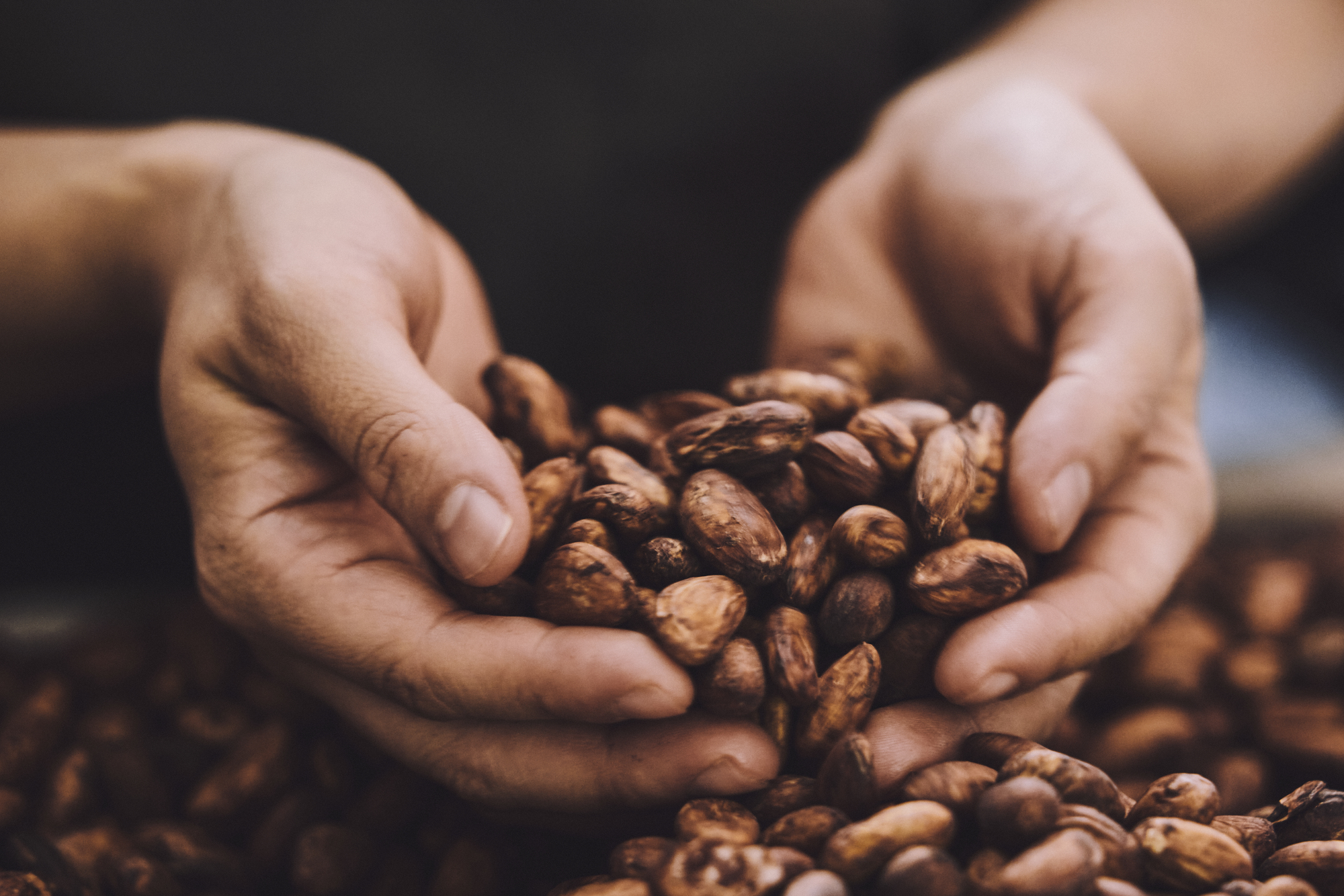 おいしい色の草木染め－「カカオハスク」を染める半日ワークショップ